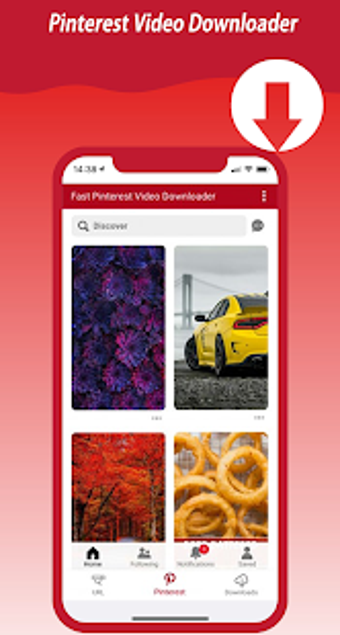 Imagen 2 para Fast Pinterest Video Down…
