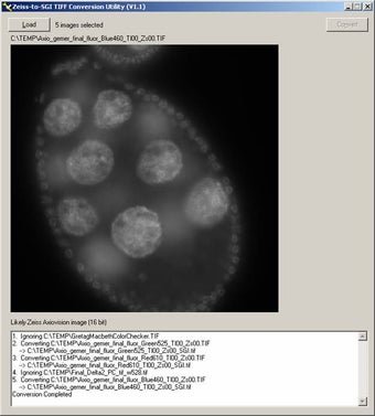 Imagen 2 para ZeissToSGI