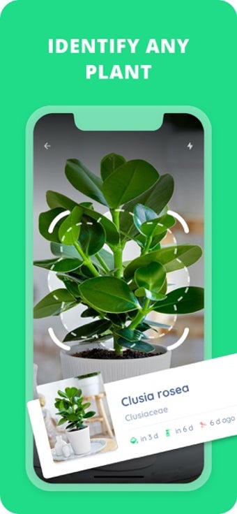 Image 3 for PlantIn: Plant Identifier