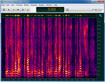 Imagen 2 para Ocenaudio