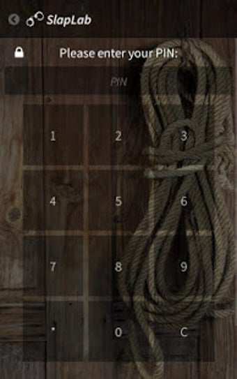 Image 3 for SlapLab - Free