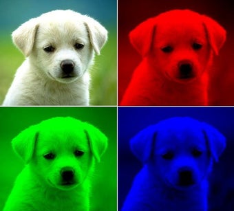 Image 0 for SocialWebcam