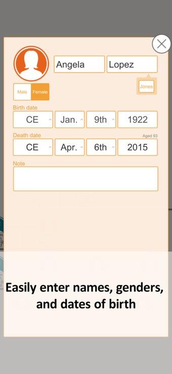 Image 2 for Quick Family Tree