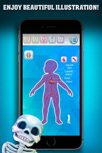 Image 0 for Explore Human Body - Anat…