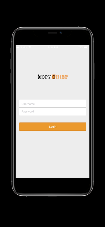 Image 1 for Copy Chief