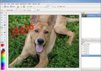 Image 0 for Pinta for Linux