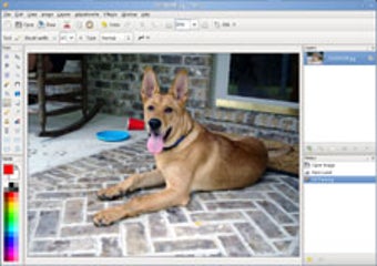 Image 1 for Pinta for Linux