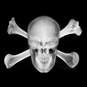 Image 0 for Skull Wallpapers