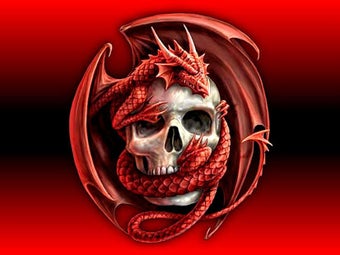 Image 3 for Skull Wallpapers