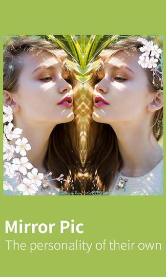 Image 3 for MirrorPic Photo Mirror co…