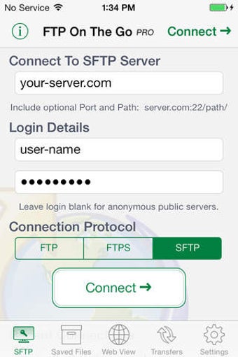 Image 0 for FTP On The Go PRO
