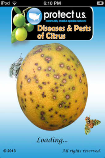 Image 0 for Protect U.S. Citrus Disea…