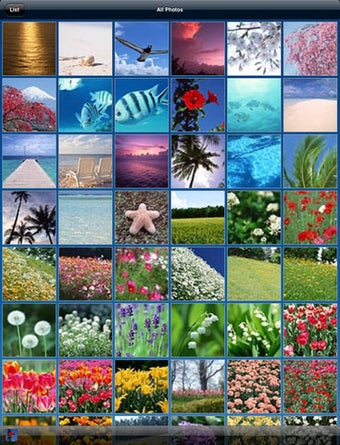 Image 0 for Media Link Player Lite fo…