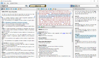 Image 0 for InHisVerse Bible Dictiona…