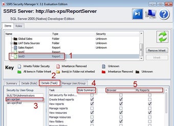 Image 1 for SSRS Security Manager