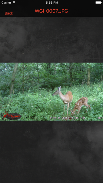 Image 0 for Wildgame Viewer