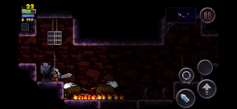 Image 0 for Rogue Legacy
