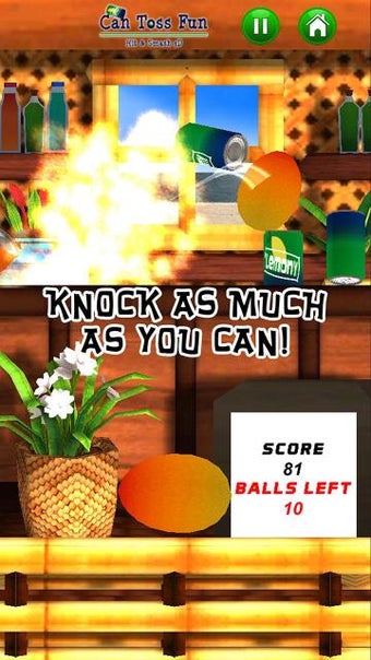 Image 1 for Can Toss Fun - Hit & Smas…