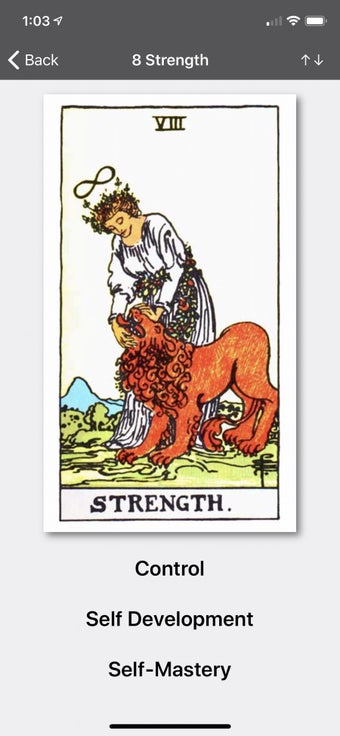 Image 0 for Tarot Journal