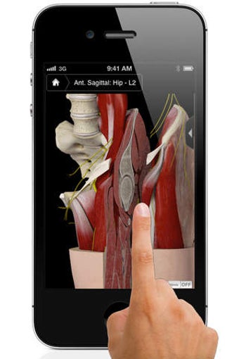 Image 0 for Hip Pro III with Animatio…
