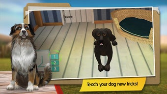 Image 2 for DogHotel - My Dog Boardin…