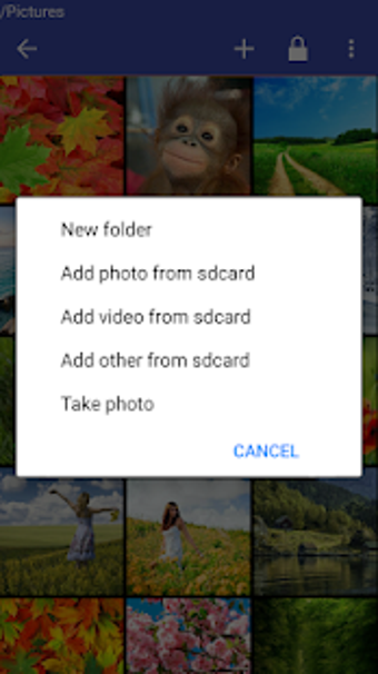 Image 3 for Photo Gallery lock passwo…