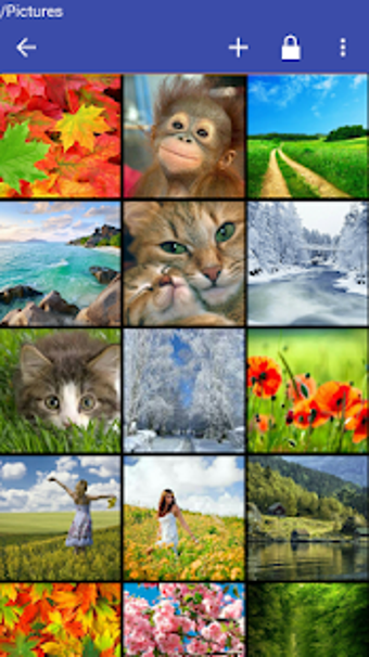 Image 1 for Photo Gallery lock passwo…