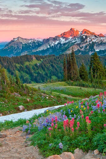 Image 0 for Mount Rainier National Pa…