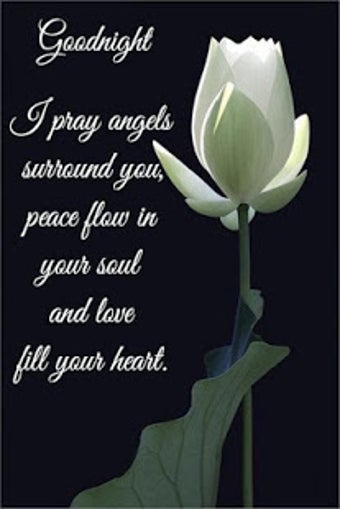 Imagen 2 para Good Night Blessing Quote…