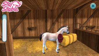 Image 3 for Star Stable Horses