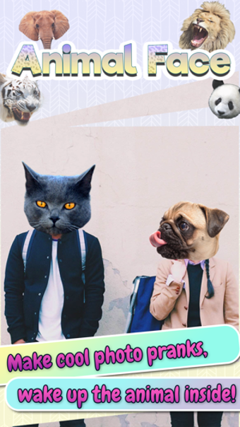 Image 1 for Animal Face Swap Photo Ed…