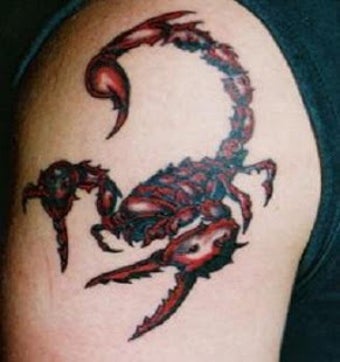 Imagen 1 para Drawing Tattoo scorpion
