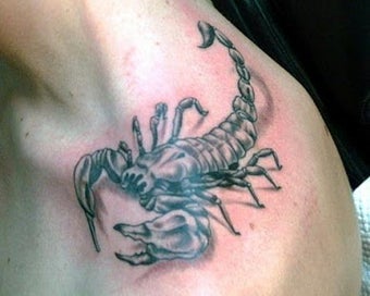Imagen 2 para Drawing Tattoo scorpion