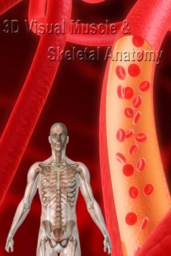 Imagen 0 para 3D Visual Muscle and Skel…