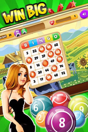 Image 0 for Bingo Casino - Multiplaye…