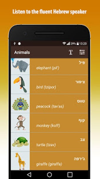 Imagen 2 para Learn Hebrew Basics
