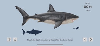 Imagen 2 para Megalodon