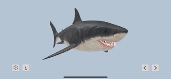 Imagen 3 para Megalodon