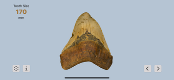 Imagen 1 para Megalodon