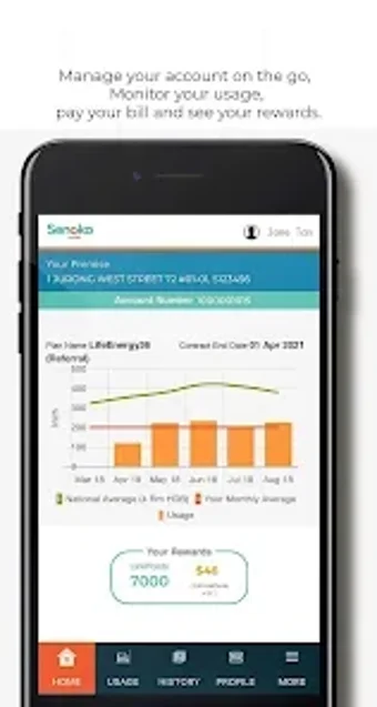 Imagen 0 para Senoko Energy