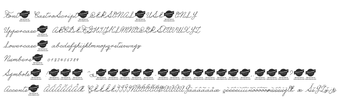 Imagen 0 para Castro Script