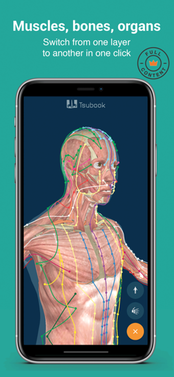 Image 2 for Tsubook Shiatsu