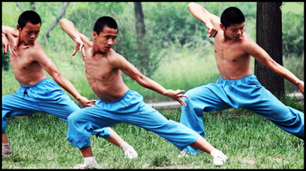 Image 2 for Learn Kung Fu at home. Sh…