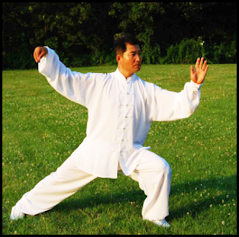 Image 3 for Learn Kung Fu at home. Sh…