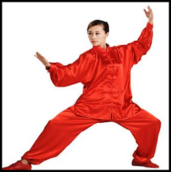 Image 1 for Learn Kung Fu at home. Sh…