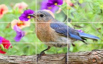 Image 1 for Puzzle - Birds