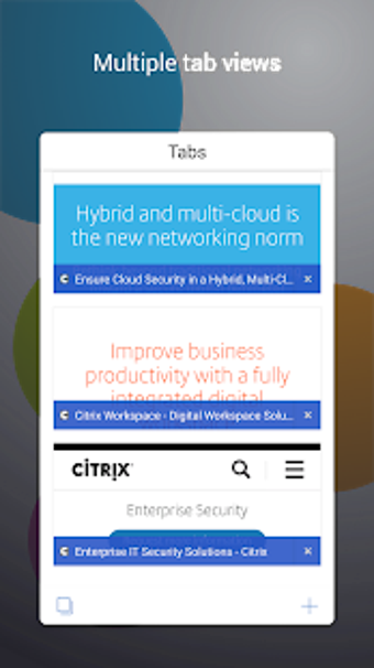 Imagen 3 para Citrix Secure Web