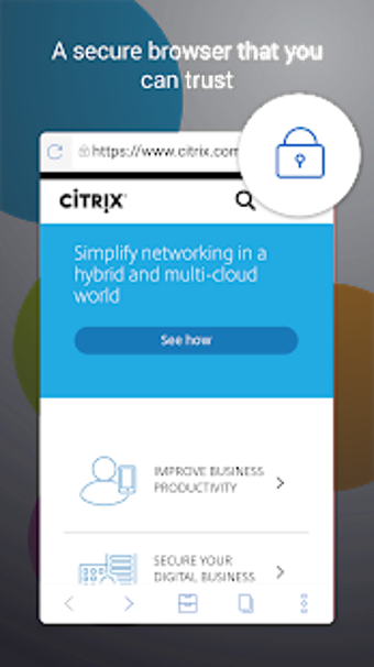 Imagen 1 para Citrix Secure Web