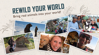 Image 2 for Safari Central: Wildlife …