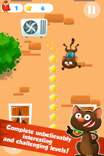 Imagen 0 para The Cat